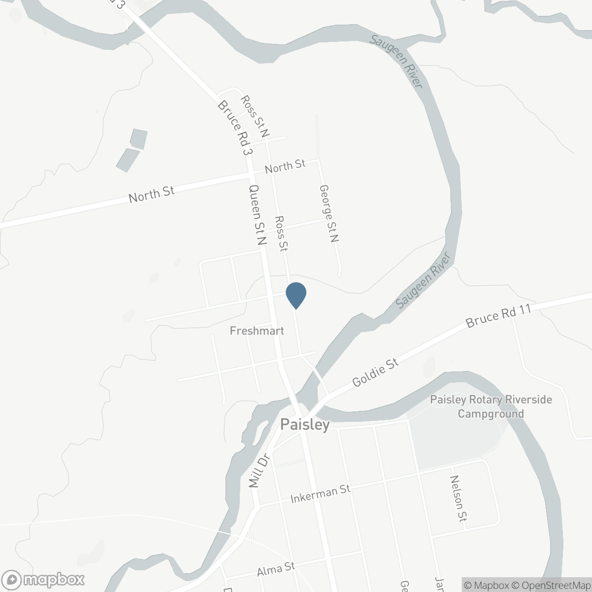 459 ROSS STREET, Paisley, Ontario N0G 2N0